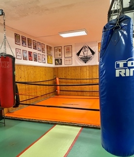 TRANVIERI il ring