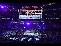 Ad Atlantic City il "figlio della leggenda" Bruce Seldon Jr perde per ko da Josh Popper  (2)