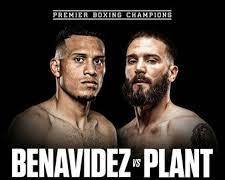 Benavidez Bianco e Nero Plant