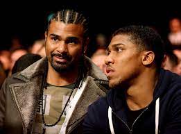 Haye con Haye